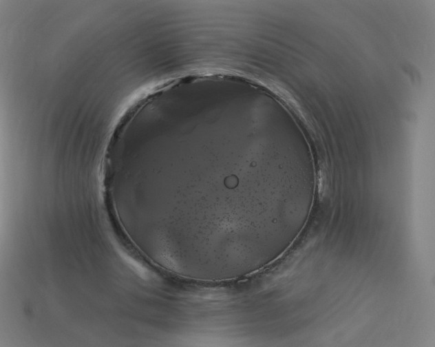 X0000114070438200910191525