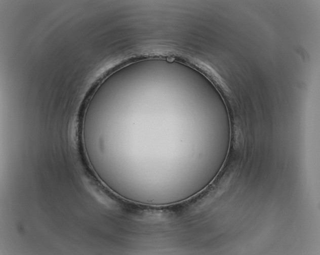 X0000114070439200910191525