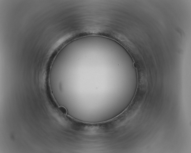 X0000114070440200910191525