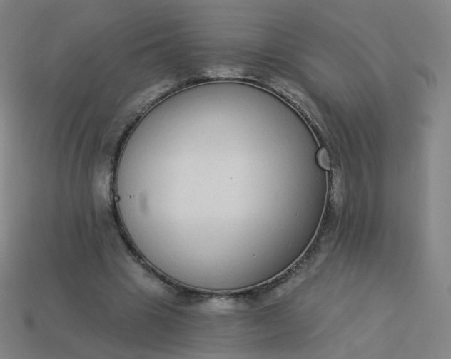 X0000114070441200910191525