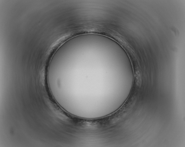 X0000114070442200910191525