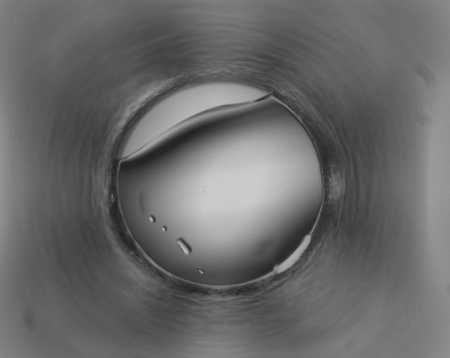 X0000114070444200910191525