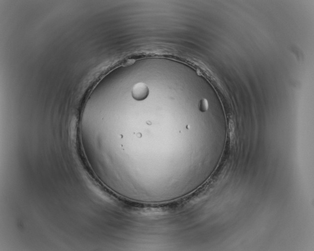 X0000114070445200910191525