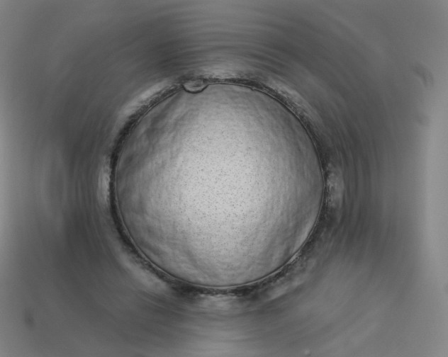 X0000114070446200910191525