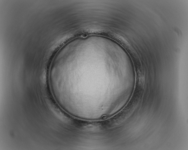 X0000114070447200910191525