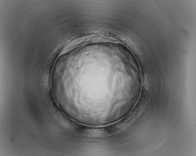 X0000114070449200910191525