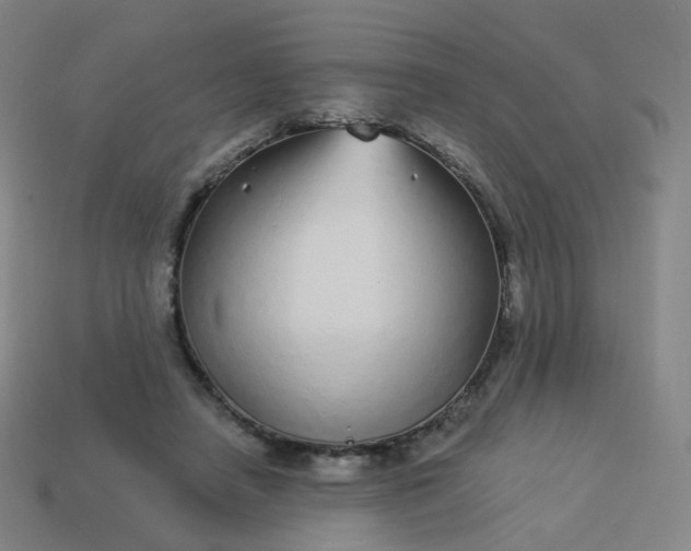 X0000114070450200910191525