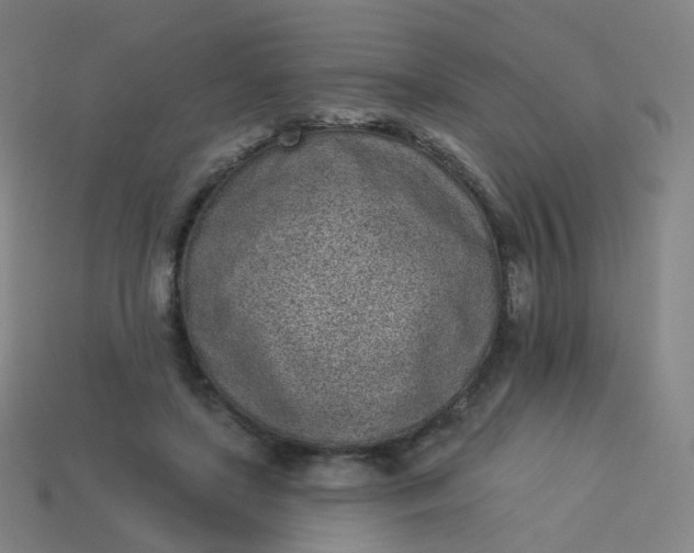 X0000114070451200910191525