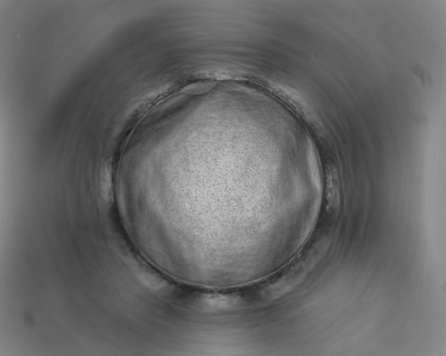 X0000114070453200910191525