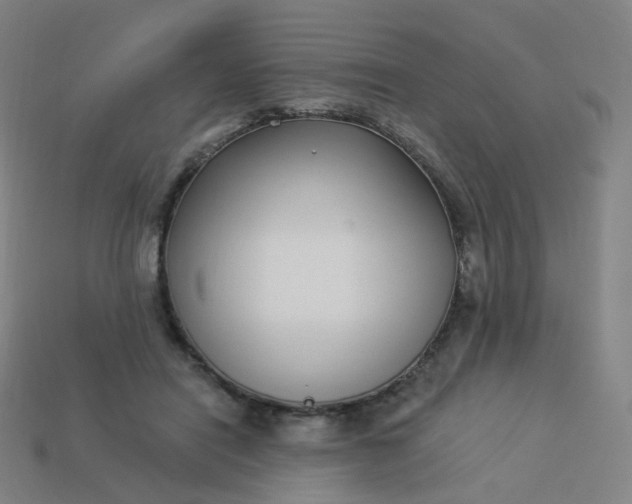 X0000114070454200910191525