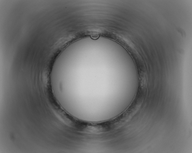 X0000114070455200910191525