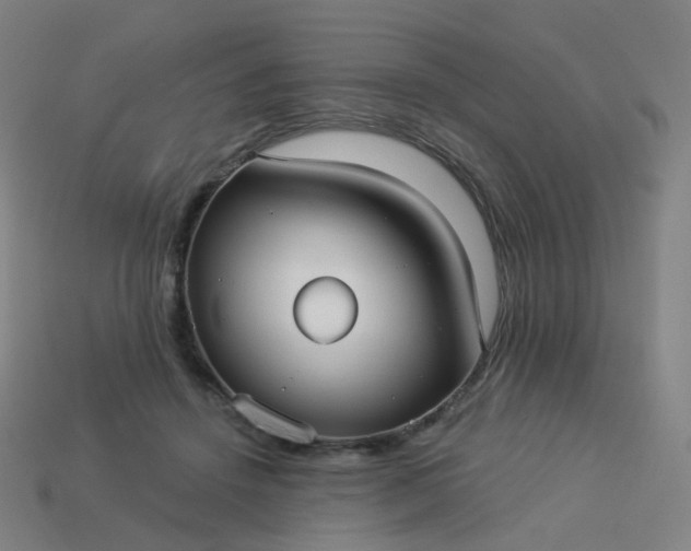 X0000114070456200910191525