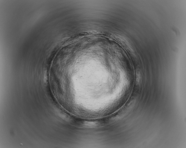 X0000114070457200910191525