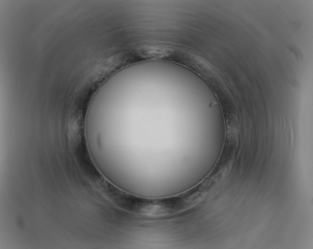 X0000114070460200910191525