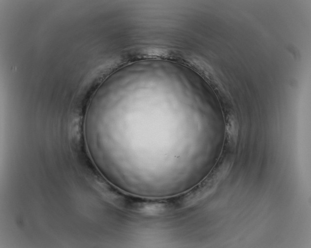 X0000114070462200910191525