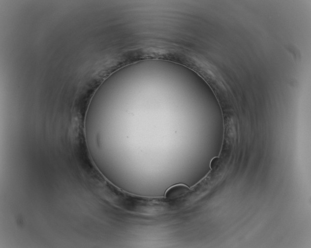 X0000114070463200910191525