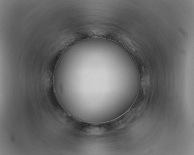 X0000114070464200910191525