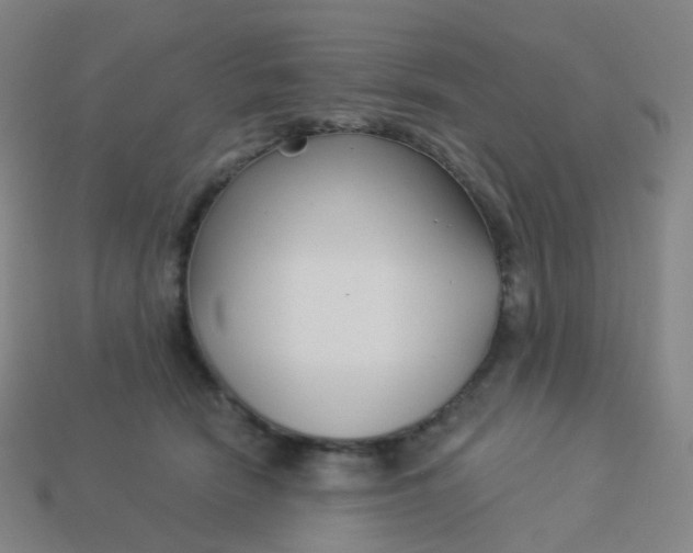 X0000114070466200910191525