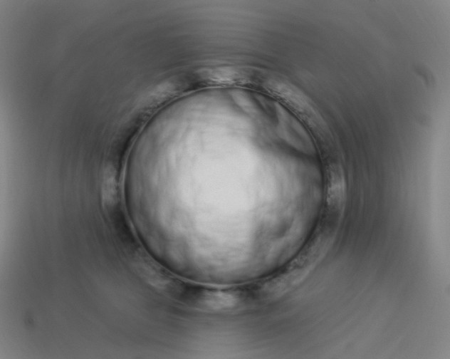 X0000114070469200910191525