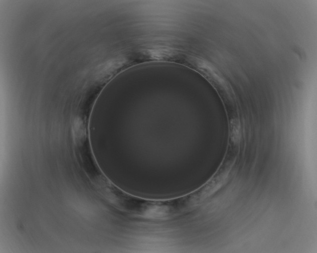 X0000114070471200910191525