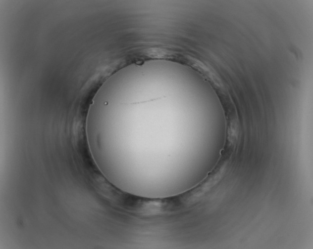 X0000114070473200910191525