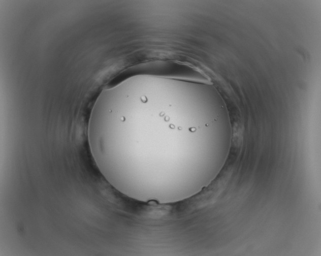 X0000114070474200910191525