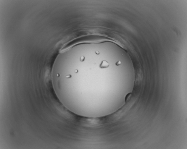 X0000114070478200910191525