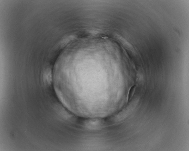 X0000114070479200910191525