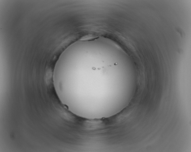 X0000114070480200910191525