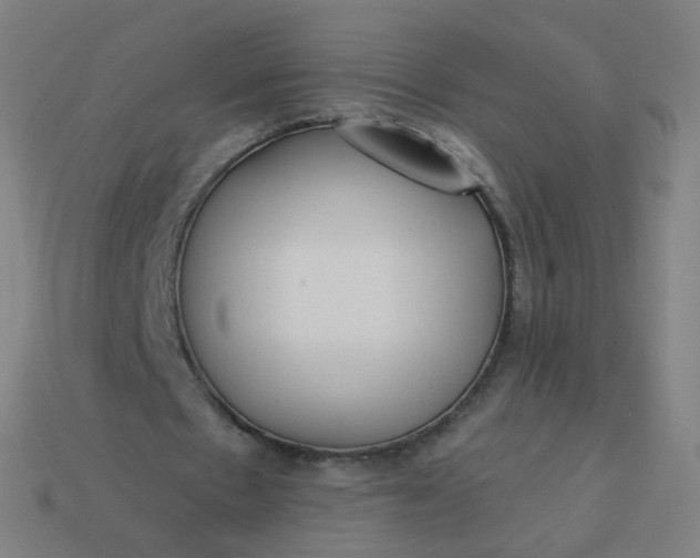 X0000114070481200910191525