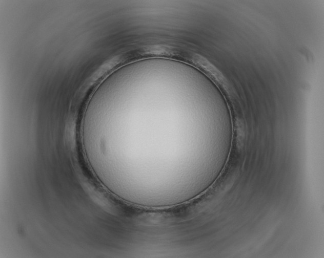 X0000114070482200910191525