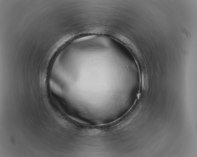 X0000114070483200910191525