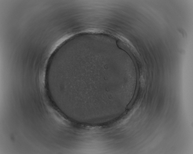 X0000114070484200910191525