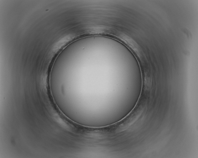 X0000114070485200910191525