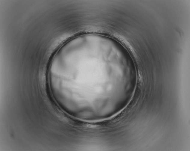 X0000114070487200910191525