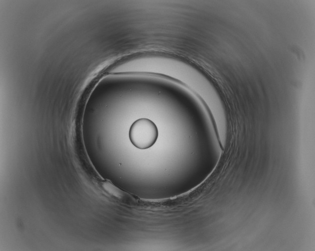 X0000114070488200910191525