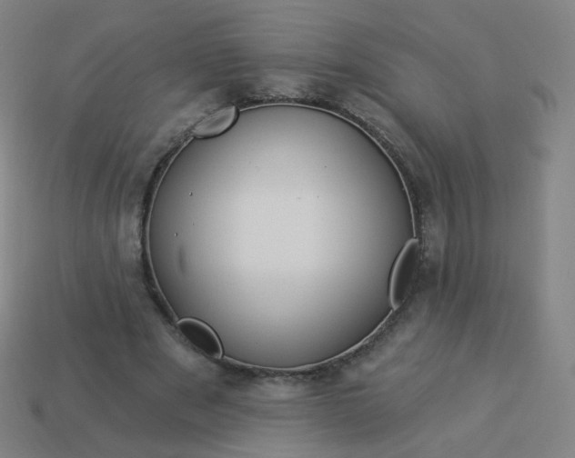 X0000114070489200910191525