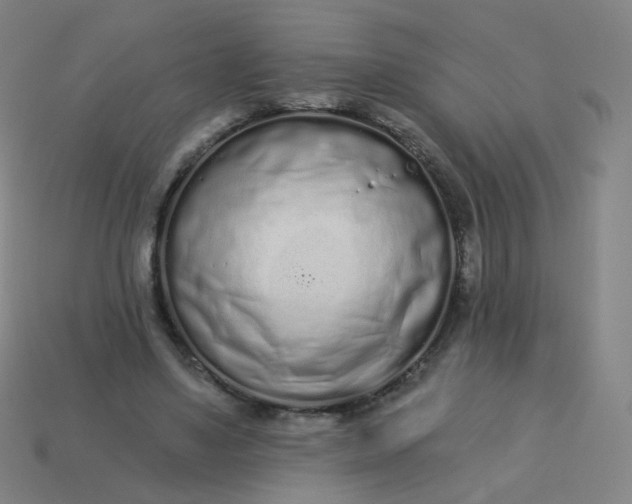 X0000114070491200910191525