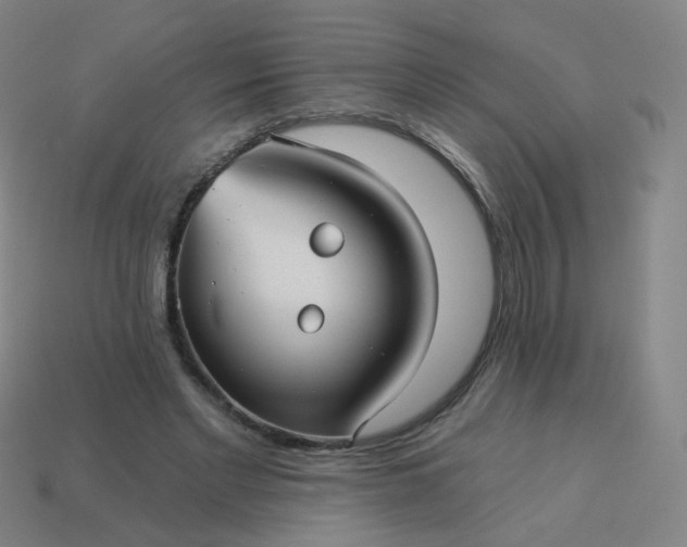 X0000114070493200910191525