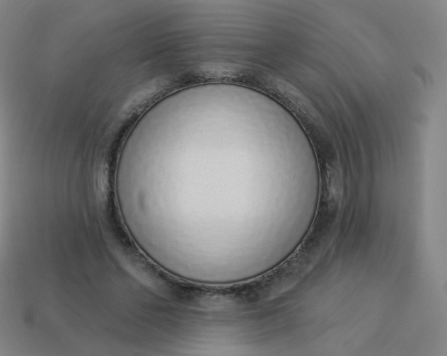 X0000114070494200910191525