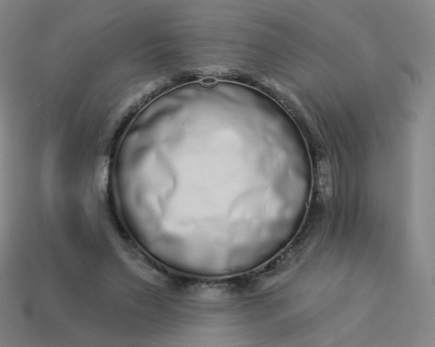 X0000114070495200910191525