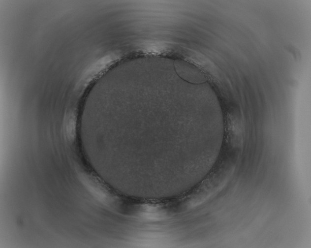 X0000114070496200910191525