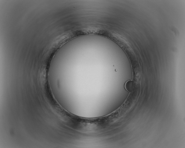 X0000114070498200910191525