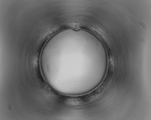 X0000114070499200910191525