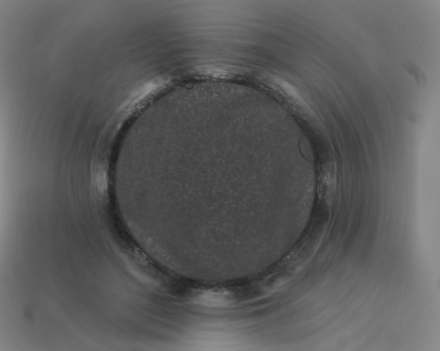 X0000114070500200910191525