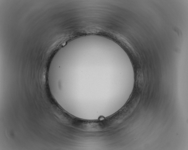 X0000114070501200910191525