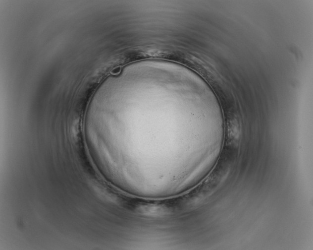 X0000114070503200910191525