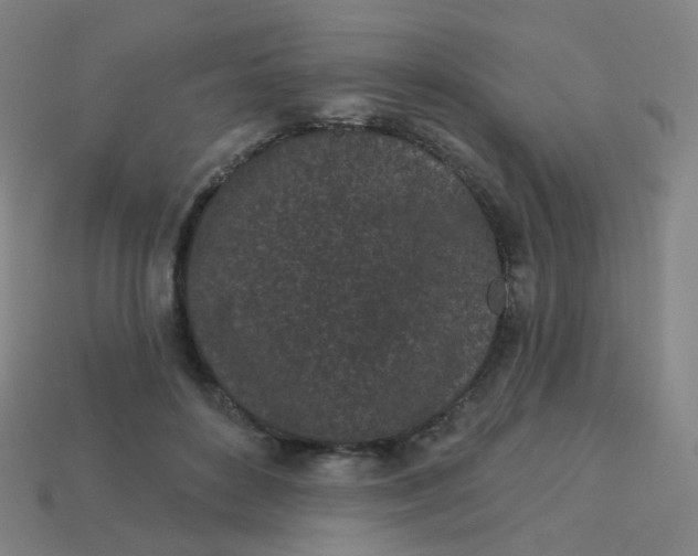 X0000114070504200910191525