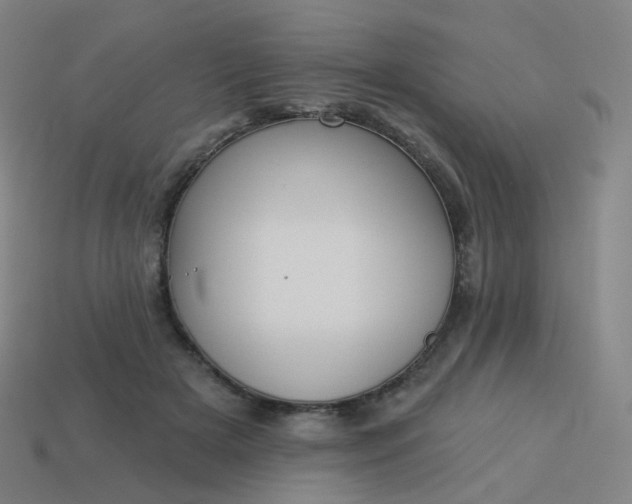 X0000114070505200910191525