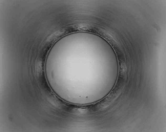 X0000114070506200910191525